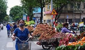 Da Nang tops mobile Internet speed chart among Vietnamese cities: survey